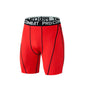 Sports Shorts, Basketball Shorts, Quick-Dry Training Pants